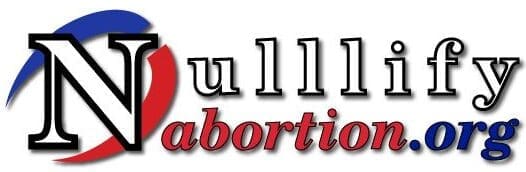 Nullify Abortion Pro-Life Abolition Logo