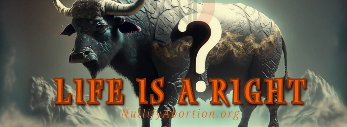 A fantastically huge bison made of rock and mountain with the caption, "Life Is A Right?"