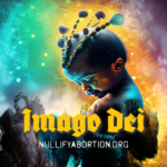 Preborn Human Person made in the Image of God